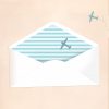 High fliers invitation - envelope liner